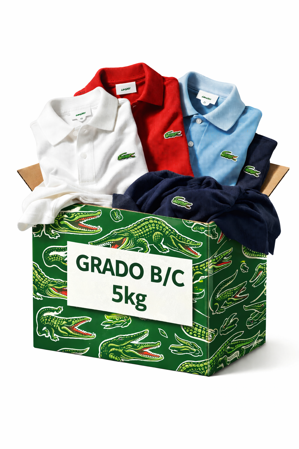 BOX LACOSTE - B/C🐊